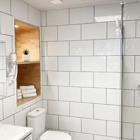 Stella 95m2 Climatise Parking Proche Sanctuaire * Lourdes