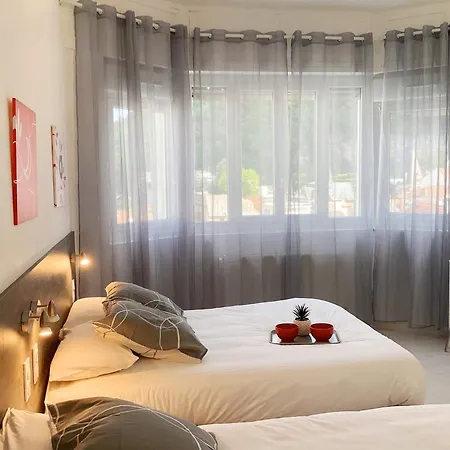 Stella 95 M2 Climatise Parking Proche Sanctuaires Lourdes